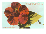 Mele Kalikimaka, Hibiscus Blossom Giclee Print Mele Kalikimaka, Hibiscus Blossom Giclee Print