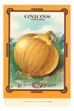 Onion Seed Packet Poster