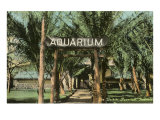 Waikiki Aquarium, Honolulu, Hawaii Posters