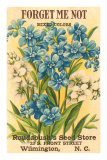 Forget Me Not Seed Packet Posters