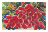 Grapes Posters