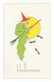 Geriatric Witch on Broom Prints