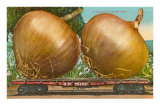 Giant Onions on Flatbed Poster