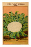French Cauliflower Broccoli Seed Packet Posters