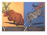 Yak and Zebra Poster