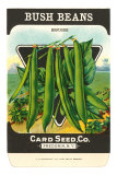 Bush Bean Seed Packet Posters