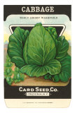 Cabbage Seed Packet Photo