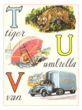 T Tiger U Umbrella V Van Posters