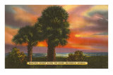 Sunset, Brunswick Georgia Posters