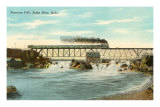American Falls, Snake River, Idaho Prints