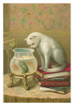 A Happy New Year, Cat Watching Frog and Fish in Bowl Prints