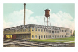Libby Plant, Morrison, Illinois Poster