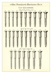 Flat Head Screws Kunstdrucke