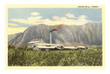 Sugar Mill, Hawaii Posters