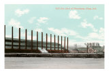 Mill Site, Gary, Indiana Posters