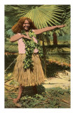 Hula Girl, Hawaii Posters