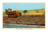 Giant Ear of Corn Towed by Tractor, Iowa Poster