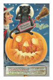 Black Cat with Halloween Precautions Photo