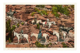Horses on Bright Angel Trail, Grand Canyon Posters