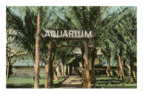 Aquarium de Waikiki, Honolulu, Hawaii Affiche