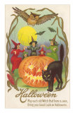 Witches, Bats Owl, Cat, Jack O'Lantern Poster