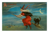 Halloween, Witch and Cat on Broom Pósters Halloween, Witch and Cat on Broom Pósters