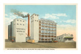 Walnut Creek Milling, Great Bend, Kansas Pósters Walnut Creek Milling, Great Bend, Kansas Pósters