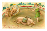 Happy New Year, Performing Pigs Photographie