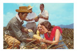 Pineapple Field, Hawaii Posters
