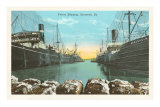 Cotton Shipping, Savannah, Georgia Photo