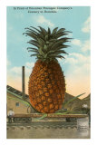 Giant Pineapple on Flatbed, Honolulu, Hawaii Posters