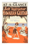 Hawaiian Guitar Instructions Poster