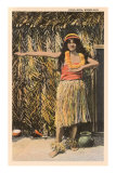 Hawaïenne Poster