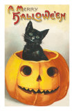 A Merry Halloween, Cat in Jack O'Lantern Prints