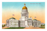 State Capitol, Boise, Idaho Poster