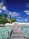Walkway, Tahiti, French Polynesia, Oceania Photographic Print by Bill Bachmann