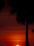 Sunset, The Pantanal, Matto Grosso Do Sul, Brazil Fotografisk trykk av Julie Bendlin Sunset, The Pantanal, Matto Grosso Do Sul, Brazil Fotografisk trykk av Julie Bendlin