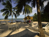 Kona Kai Resort, Key Largo, Florida, USA Photographic Print by Ellen Clark