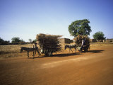 Farmers with Donkey Carts, Burkina Faso, West Africa Photographic Print by Ellen Clark