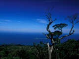 View from Pico Do Papagaio, Ilha Grande, Rio De Janeiro State, Brazil Fotografisk trykk av Julie Bendlin View from Pico Do Papagaio, Ilha Grande, Rio De Janeiro State, Brazil Fotografisk trykk av Julie Bendlin