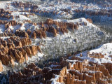 Pillars of Limestone at Bryce Canyon National Park, Utah, USA Photographic Print by Diane Johnson
