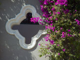 Bouganvilla Blooming, San Miguel De Allende, Guanajuato State, Mexico Photographic Print by Julie Eggers