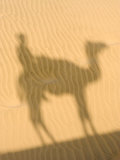 Shadow of Camel Rider, Thar Desert, Jaisalmer, Rajasthan, India Photographic Print by Philip Kramer