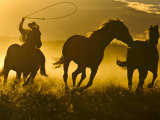 Cowboy on Horseback, Ponderosa Ranch, Seneca, Oregon, USA Photographic Print by Wendy Kaveney