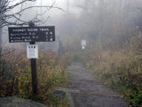 Appalachian Trail near Clingman's Dome, Great Smoky Mountains, Tennessee, USA Photographie par Diane Johnson