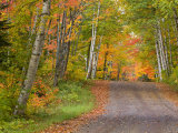 Colorful Autumn Trees, Keweenaw Penninsula, Michigan, USA Photographic Print by Chuck Haney