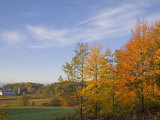 Autumn Colors accent farm buildings near Chippewa Falls, Wisconsin, USA Photographic Print by Chuck Haney