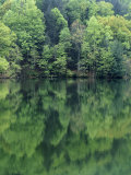 Reflections in Charlottesville Lake, Blue Ridge Mountains, Virginia, USA Photographic Print by Charles Gurche