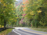 Fall Foliage on Newfound Gap Road, Great Smoky Mountains, Tennessee, USA Photographic Print by Diane Johnson