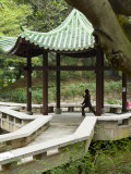 Tai Chi Chuan in the Chinese Garden Pavilion at Kowloon Park, Tsim Sha Tsui Area, Hong Kong, China Photographic Print by Charles Crust
